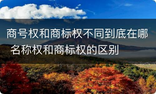 商号权和商标权不同到底在哪 名称权和商标权的区别