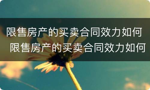 限售房产的买卖合同效力如何 限售房产的买卖合同效力如何计算