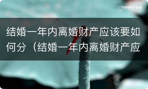 结婚一年内离婚财产应该要如何分（结婚一年内离婚财产应该要如何分割呢）
