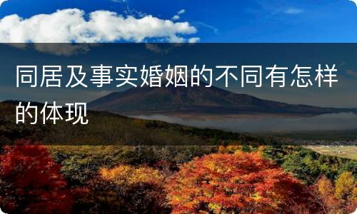 同居及事实婚姻的不同有怎样的体现