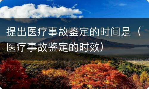 提出医疗事故鉴定的时间是（医疗事故鉴定的时效）