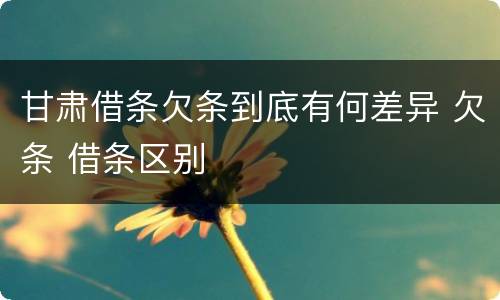 甘肃借条欠条到底有何差异 欠条 借条区别