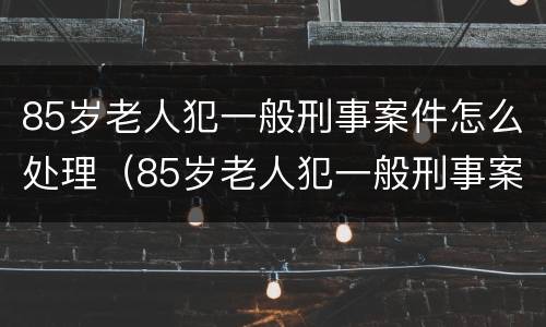 85岁老人犯一般刑事案件怎么处理（85岁老人犯一般刑事案件怎么处理好）