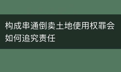 构成串通倒卖土地使用权罪会如何追究责任