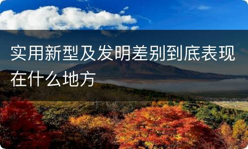 实用新型及发明差别到底表现在什么地方