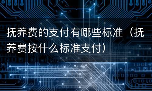 抚养费的支付有哪些标准（抚养费按什么标准支付）
