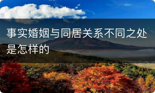 事实婚姻与同居关系不同之处是怎样的