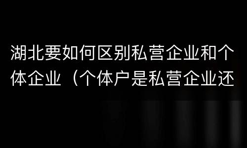 湖北要如何区别私营企业和个体企业（个体户是私营企业还是民营企业）