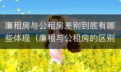 廉租房与公租房差别到底有哪些体现（廉租与公租房的区别）