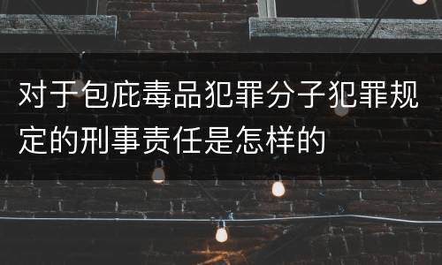 对于包庇毒品犯罪分子犯罪规定的刑事责任是怎样的