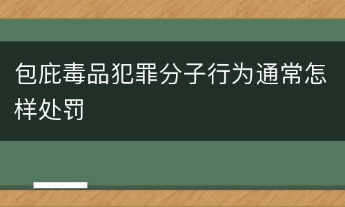 包庇毒品犯罪分子行为通常怎样处罚
