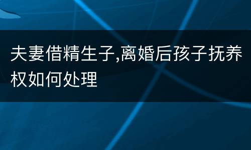 夫妻借精生子,离婚后孩子抚养权如何处理