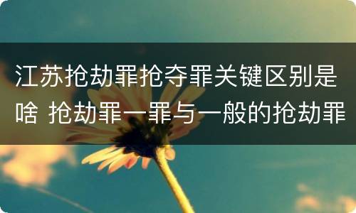 江苏抢劫罪抢夺罪关键区别是啥 抢劫罪一罪与一般的抢劫罪区别