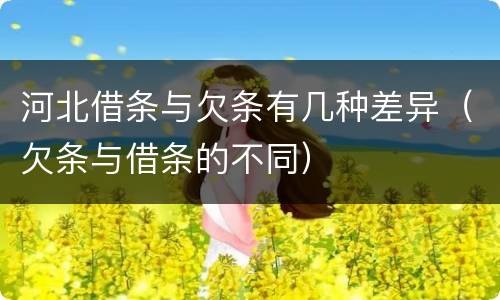 河北借条与欠条有几种差异（欠条与借条的不同）