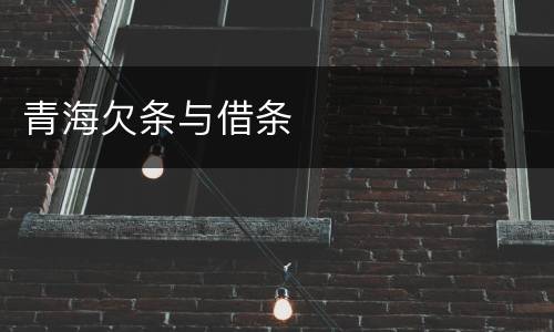 青海欠条与借条