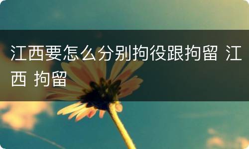 江西要怎么分别拘役跟拘留 江西 拘留