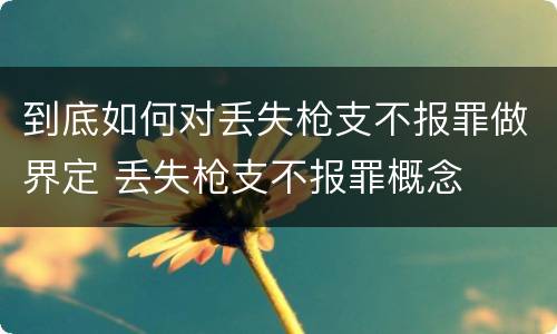 到底如何对丢失枪支不报罪做界定 丢失枪支不报罪概念
