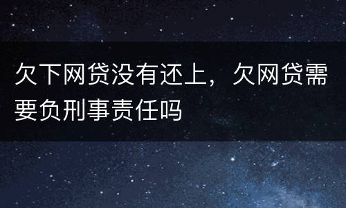 欠下网贷没有还上，欠网贷需要负刑事责任吗