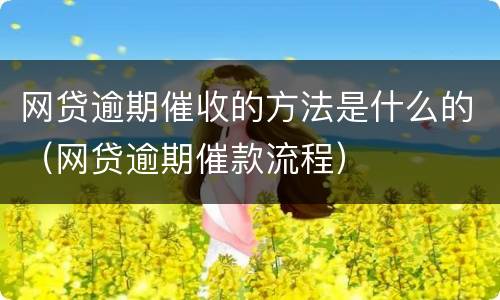 网贷逾期催收的方法是什么的（网贷逾期催款流程）