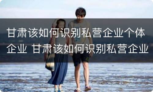 甘肃该如何识别私营企业个体企业 甘肃该如何识别私营企业个体企业资质