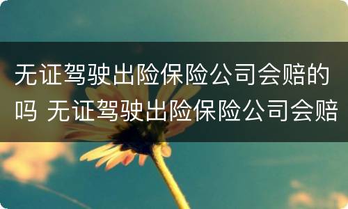 无证驾驶出险保险公司会赔的吗 无证驾驶出险保险公司会赔的吗