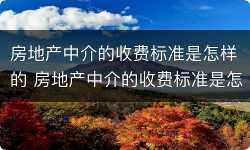 房地产中介的收费标准是怎样的 房地产中介的收费标准是怎样的呢