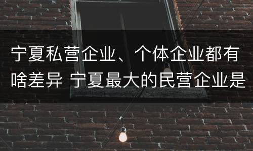 宁夏私营企业、个体企业都有啥差异 宁夏最大的民营企业是哪家