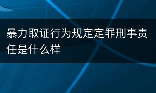 暴力取证行为规定定罪刑事责任是什么样