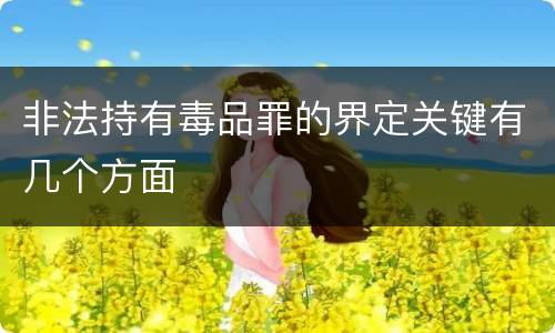 非法持有毒品罪的界定关键有几个方面