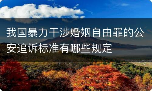 我国暴力干涉婚姻自由罪的公安追诉标准有哪些规定