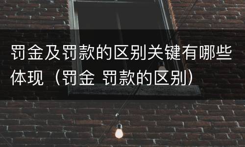 罚金及罚款的区别关键有哪些体现（罚金 罚款的区别）