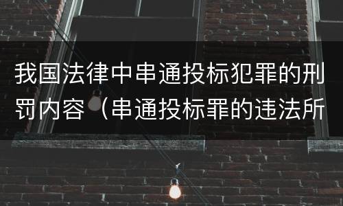 我国法律中串通投标犯罪的刑罚内容（串通投标罪的违法所得的认定及法律规定）