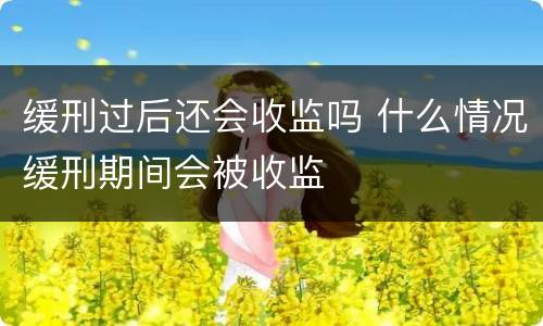 缓刑过后还会收监吗 什么情况缓刑期间会被收监