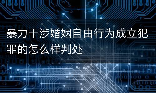 暴力干涉婚姻自由行为成立犯罪的怎么样判处