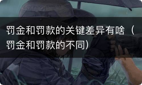 罚金和罚款的关键差异有啥（罚金和罚款的不同）