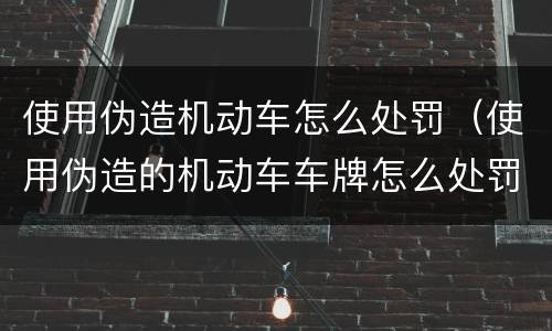使用伪造机动车怎么处罚（使用伪造的机动车车牌怎么处罚）