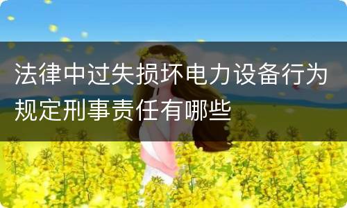 法律中过失损坏电力设备行为规定刑事责任有哪些