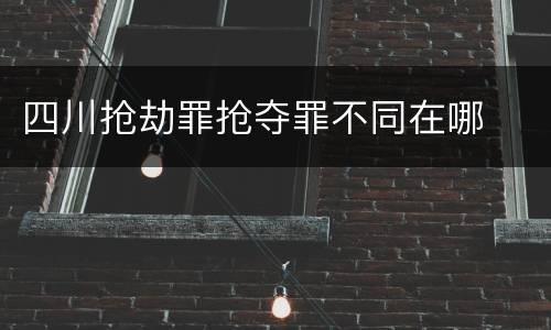 四川抢劫罪抢夺罪不同在哪