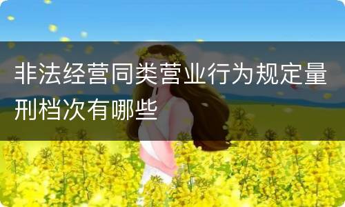 非法经营同类营业行为规定量刑档次有哪些