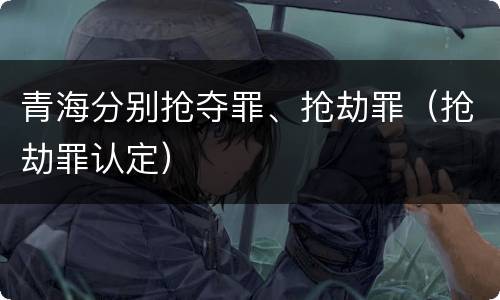 青海分别抢夺罪、抢劫罪（抢劫罪认定）