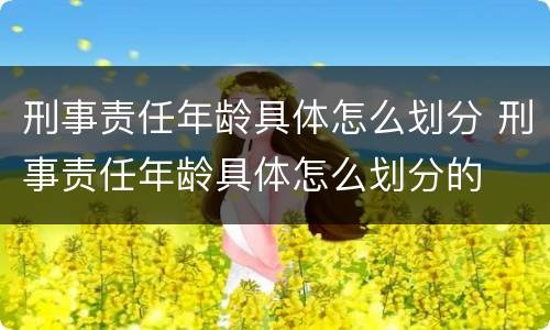 刑事责任年龄具体怎么划分 刑事责任年龄具体怎么划分的