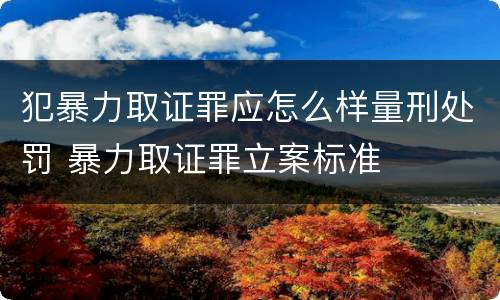犯暴力取证罪应怎么样量刑处罚 暴力取证罪立案标准
