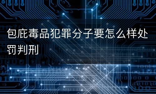 包庇毒品犯罪分子要怎么样处罚判刑