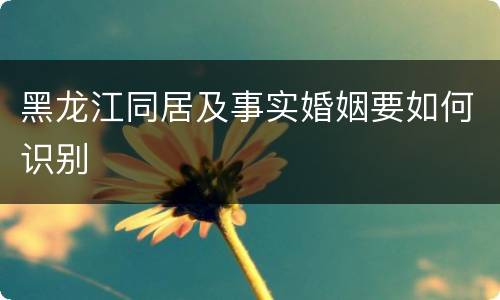 黑龙江同居及事实婚姻要如何识别