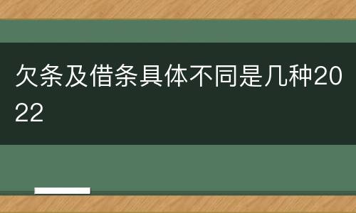 欠条及借条具体不同是几种2022