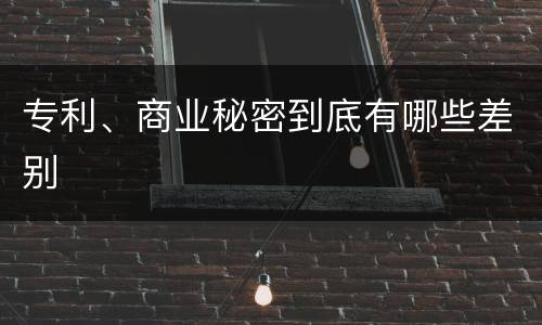 专利、商业秘密到底有哪些差别