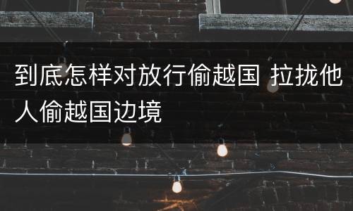 到底怎样对放行偷越国 拉拢他人偷越国边境