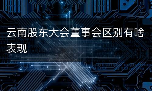 云南股东大会董事会区别有啥表现