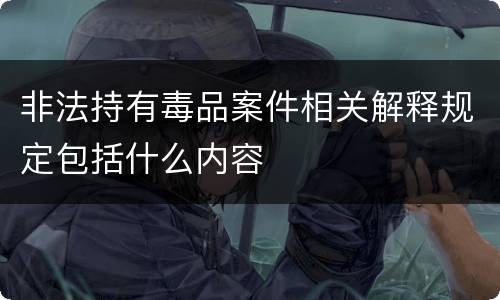 非法持有毒品案件相关解释规定包括什么内容