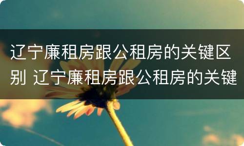 辽宁廉租房跟公租房的关键区别 辽宁廉租房跟公租房的关键区别是什么